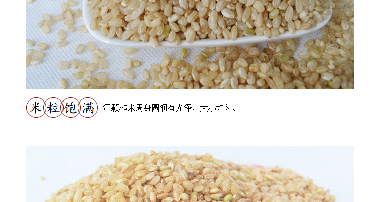 糙米