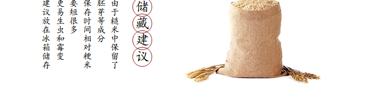 糙米